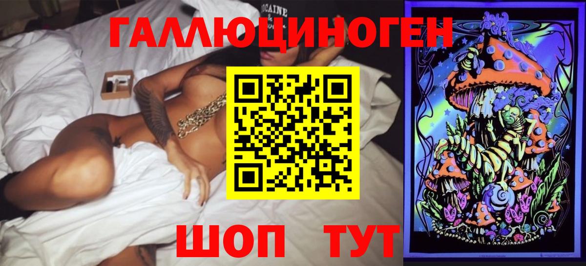 Богородицк  Псилоцибиновые грибы Psilocybe  Псилоцибиновые грибы Magic Shrooms  Вход с VPN 
